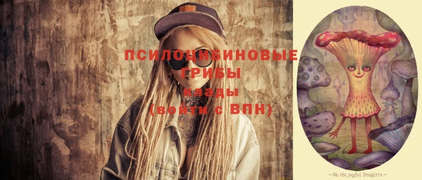 спиды Сосновый Бор