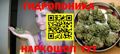 тгк Будённовск