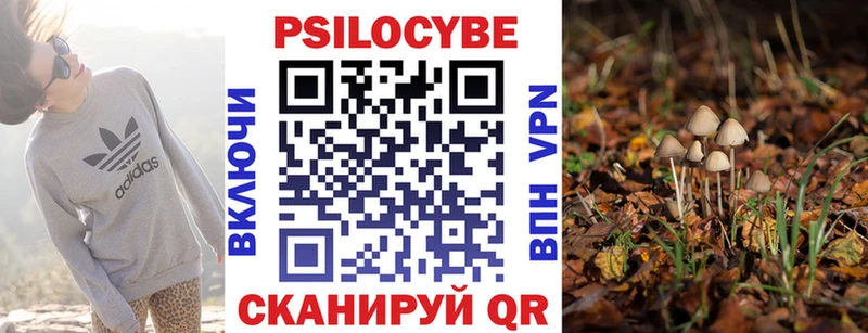 как найти наркотики  Иваново  Галлюциногенные грибы Magic Shrooms 
