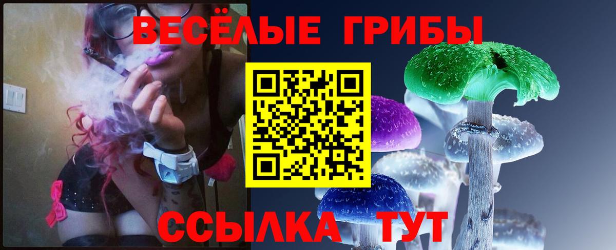 Псилоцибиновые грибы GOLDEN TEACHER  Вход с VPN  Иваново 