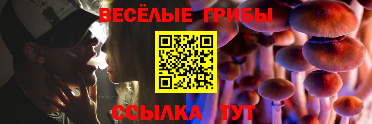 Галлюциногенные грибы Cubensis Иваново