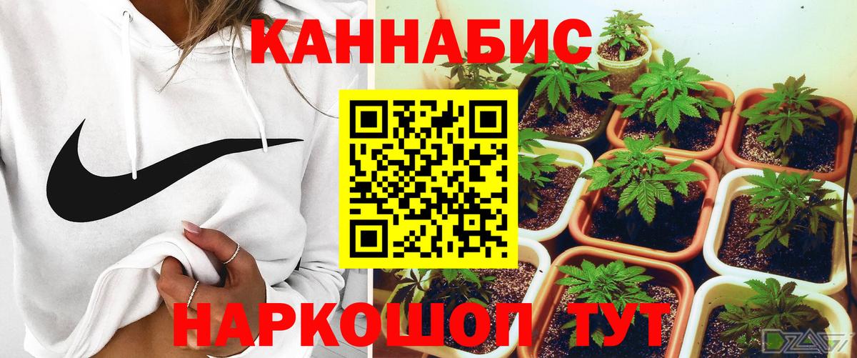 Канабис THC 21%  Вход с VPN  Бошки марихуана тримм  Иваново  Бошки марихуана семена  Марихуана сатива 